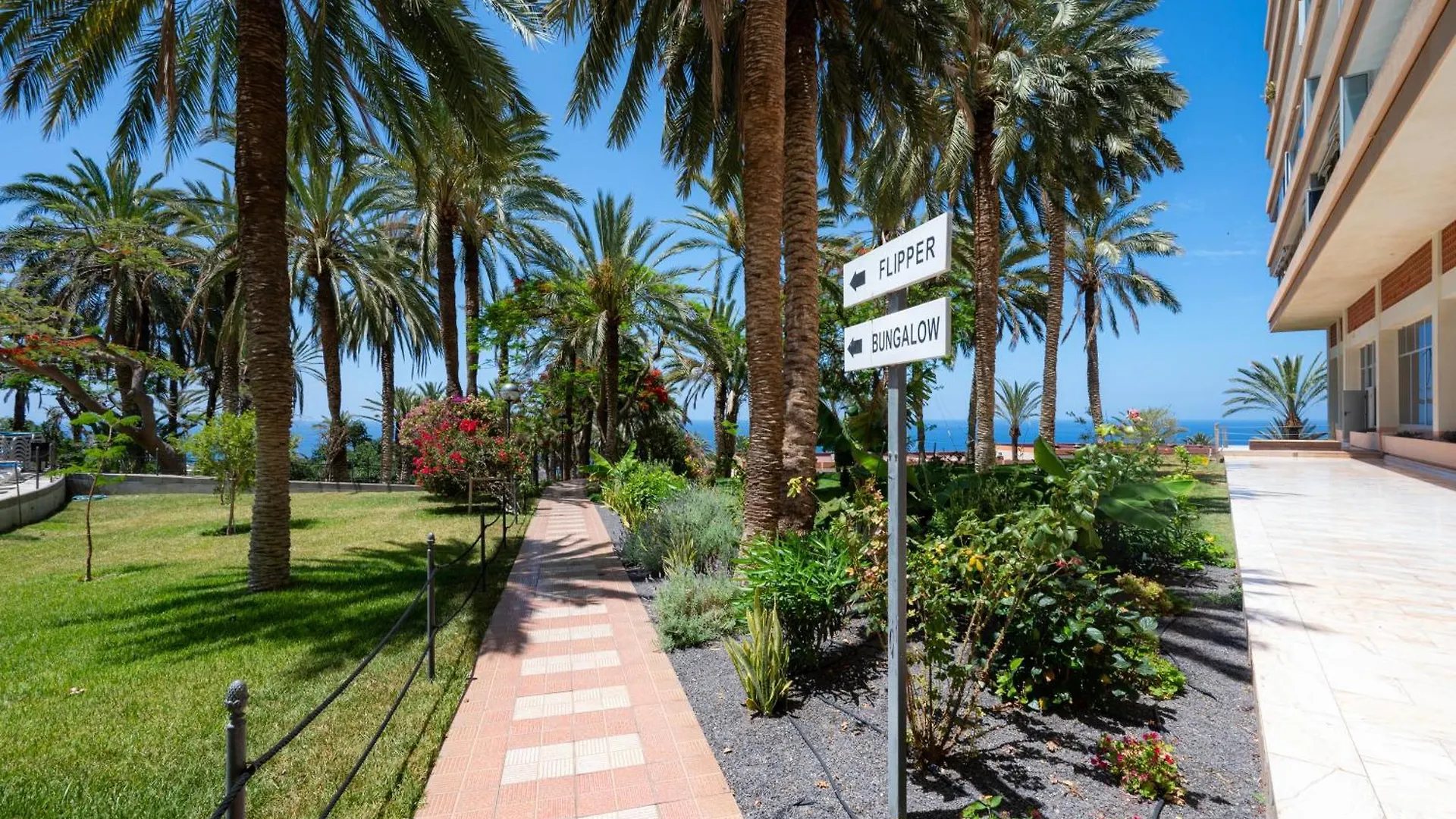 Apartmán Seagulls Melody C-209 Costa Adeje